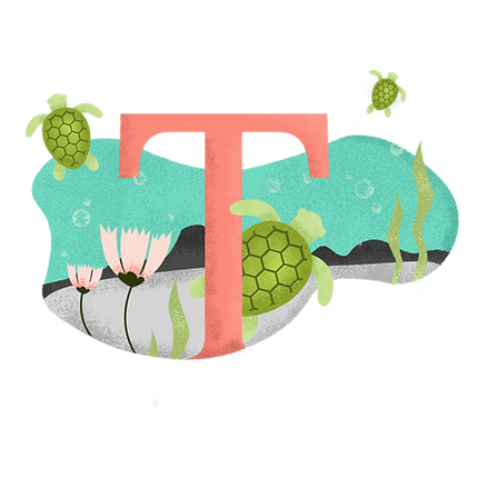 T สำหรับเต่า