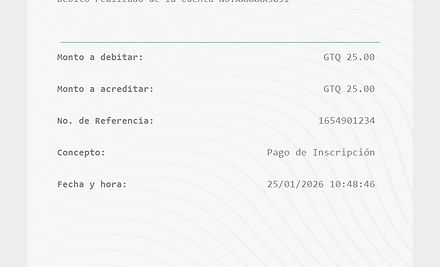 Ejemplo Boleta.jpg
