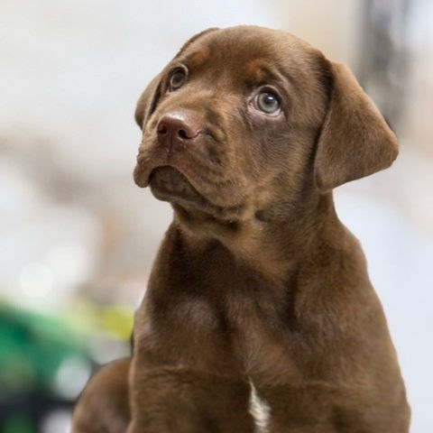 23 años de experiencia respaldarán su compra.