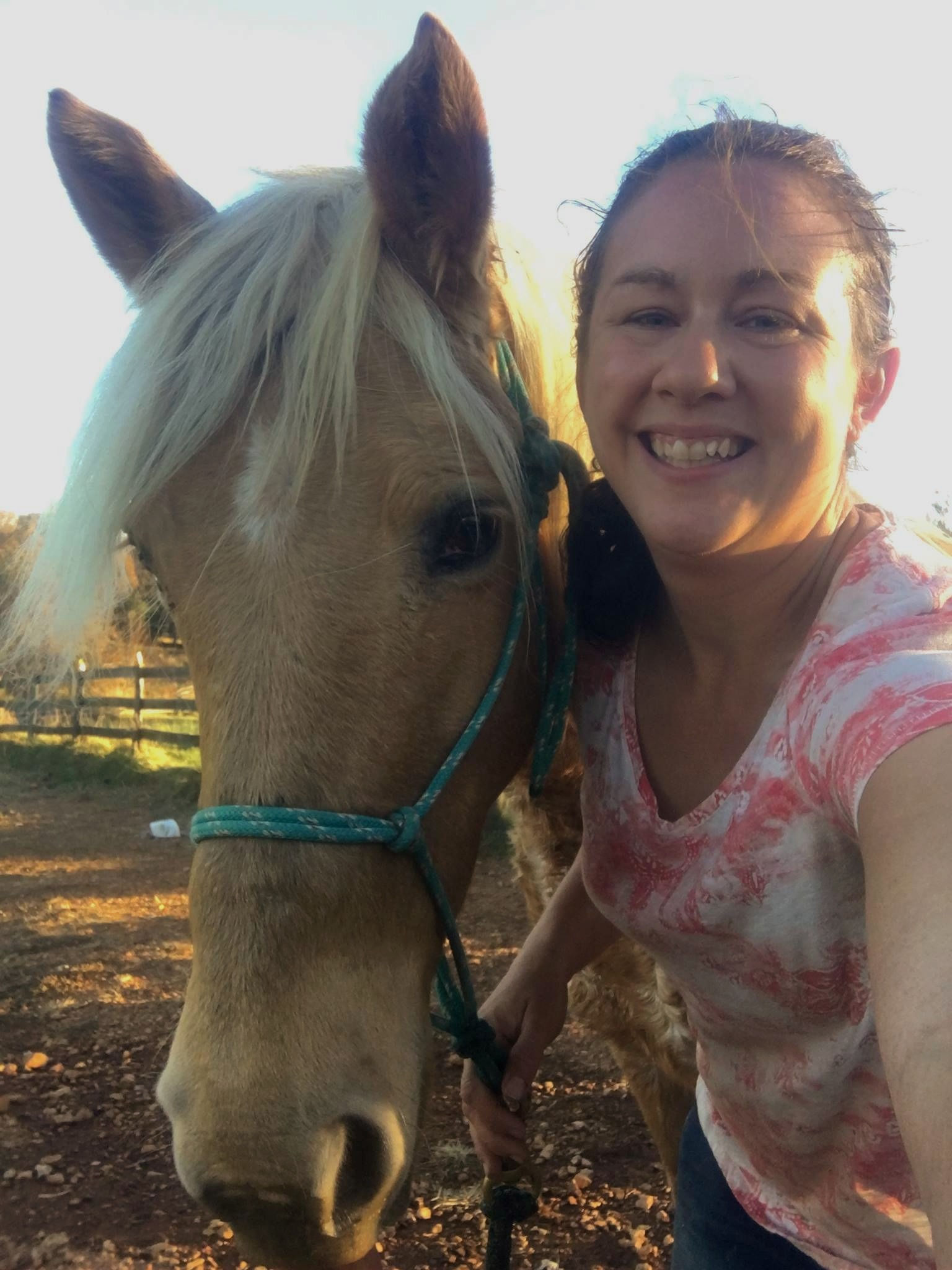 Gift Certificate - Choose Custom Amounts $15 up to $100 (in person sessions)