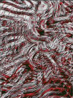 Screen Shot 2022-12-20 at 9.45.26 PM.png