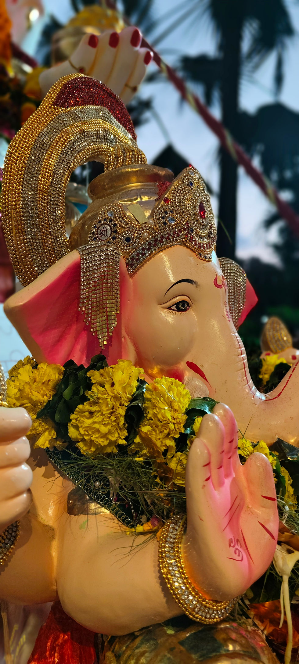 Mira road cha Maharaja