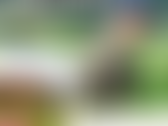 A 1060, le bon sens prend de la hauteur