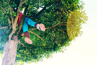 Ensine o sucesso à sua criança