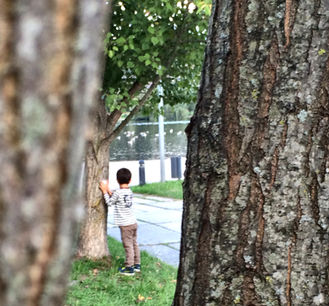 As 4 necessidades emocionais das crianças