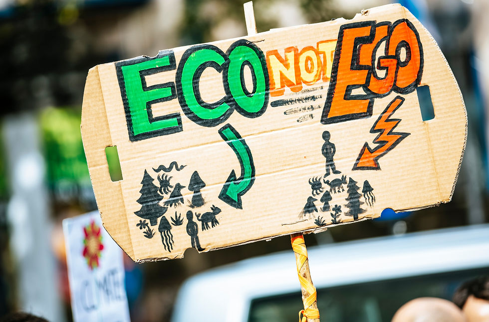 Mudanças climáticas, saúde planetária e o que você tem a ver com isso?