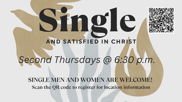 Single and Satisfied 2026.jpg