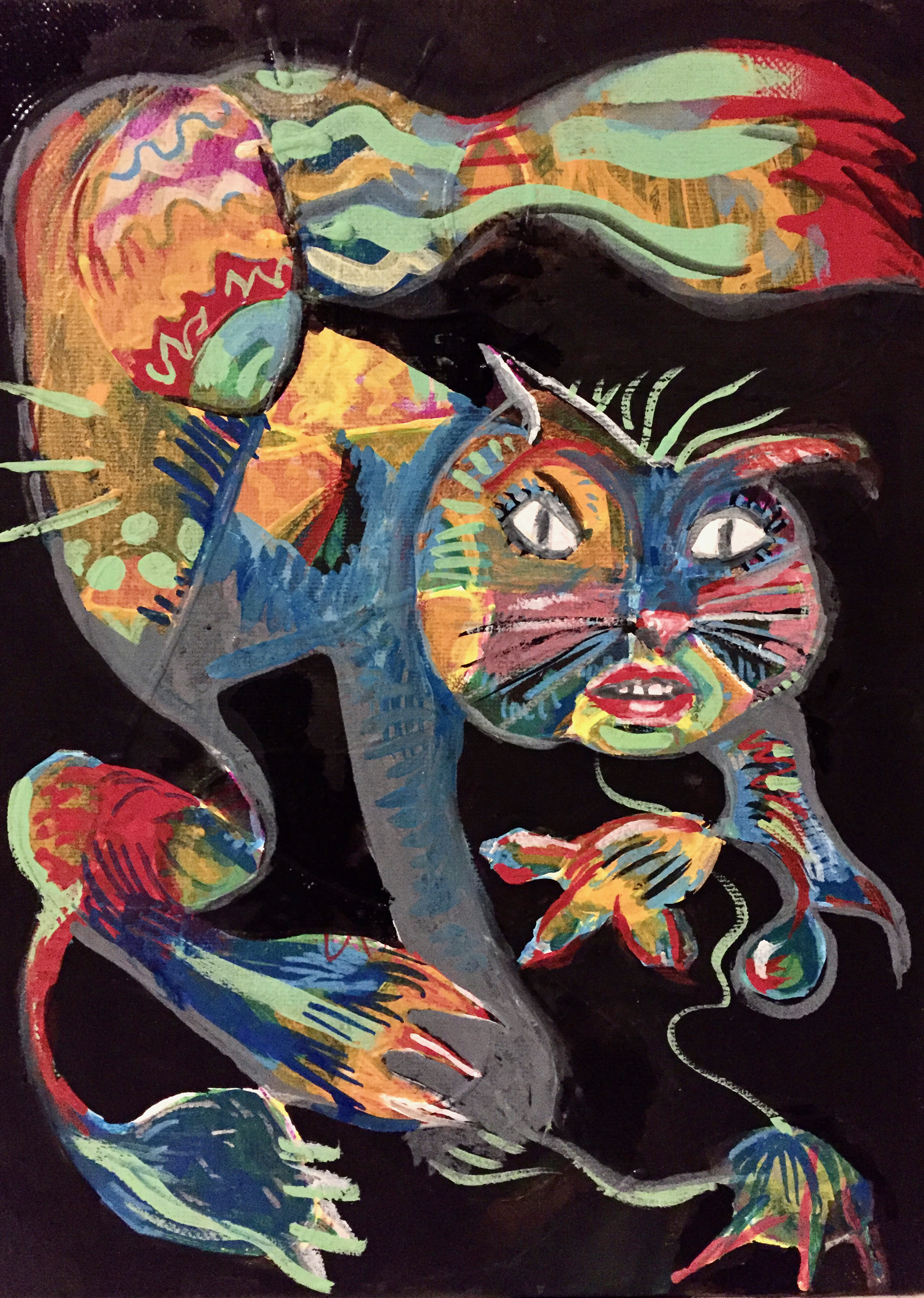 Cat Spider at Night