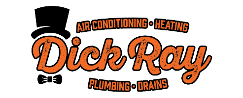 Dick-Ray-logo-Color_4x-100.jpg