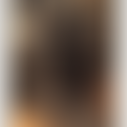 1. 내 이름은 마루(My name is Maru) 