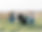 GATHER_0001.jpg
