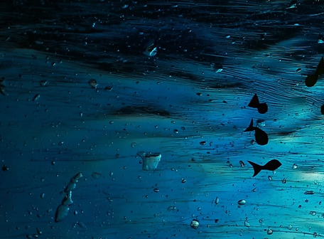Captura de Tela (7).png