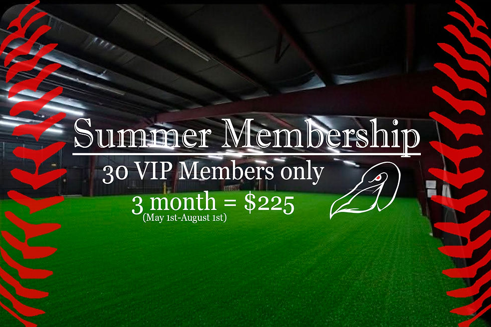 Pelicans Summer Membership