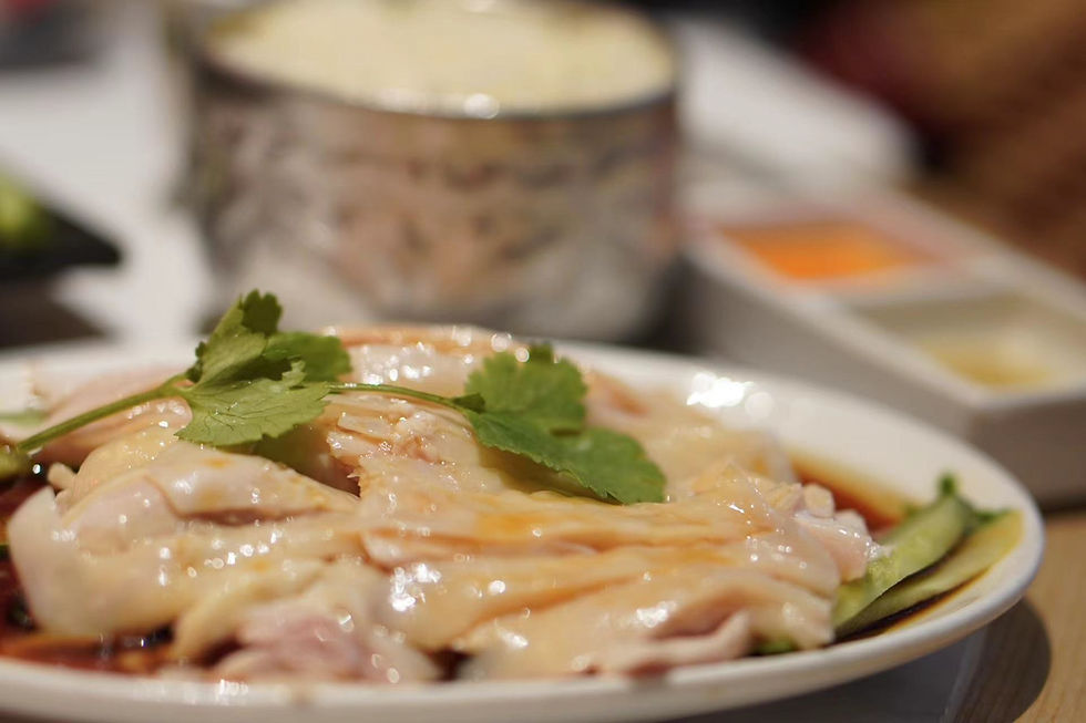 Singaporean Bone Broth + Chicken Gizzards = Addicting