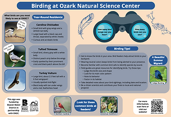 Screen Shot 2024-09-17 at 12.57.31 PM.png