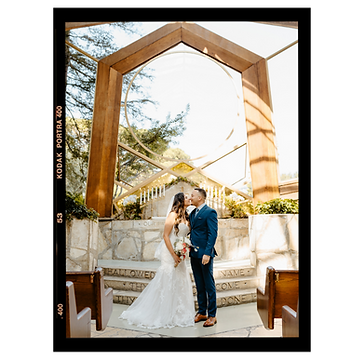 WIX ELEMENTS (4).png