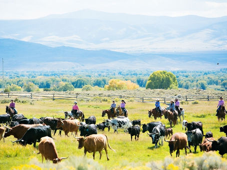 Is This Your Final Summer Fling?