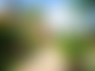 What's In It For You? Why Travelers Who Know, Go Virtuoso.