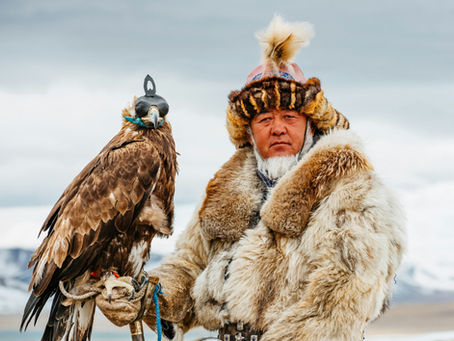 A Mongolian hunter in fur clothing holds an eagle with a hood on a gloved hand. Snowy mountains and a cloudy sky form the backdrop.