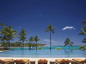 Infinity pool with tan loungers facing turquoise ocean, surrounded by palm trees under clear blue sky. Relaxing tropical setting.