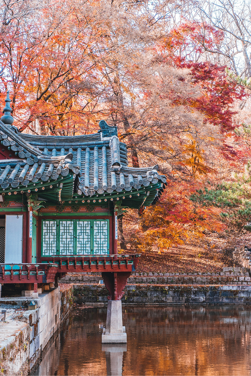 Traditional Korean pavilion with intricate roof by a peaceful pond, surrounded by vibrant autumn foliage in shades of red and orange.