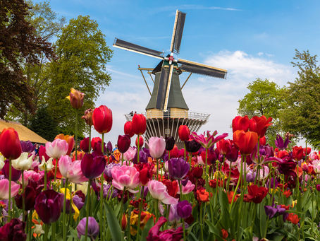 What's the Big Deal with River Cruising?