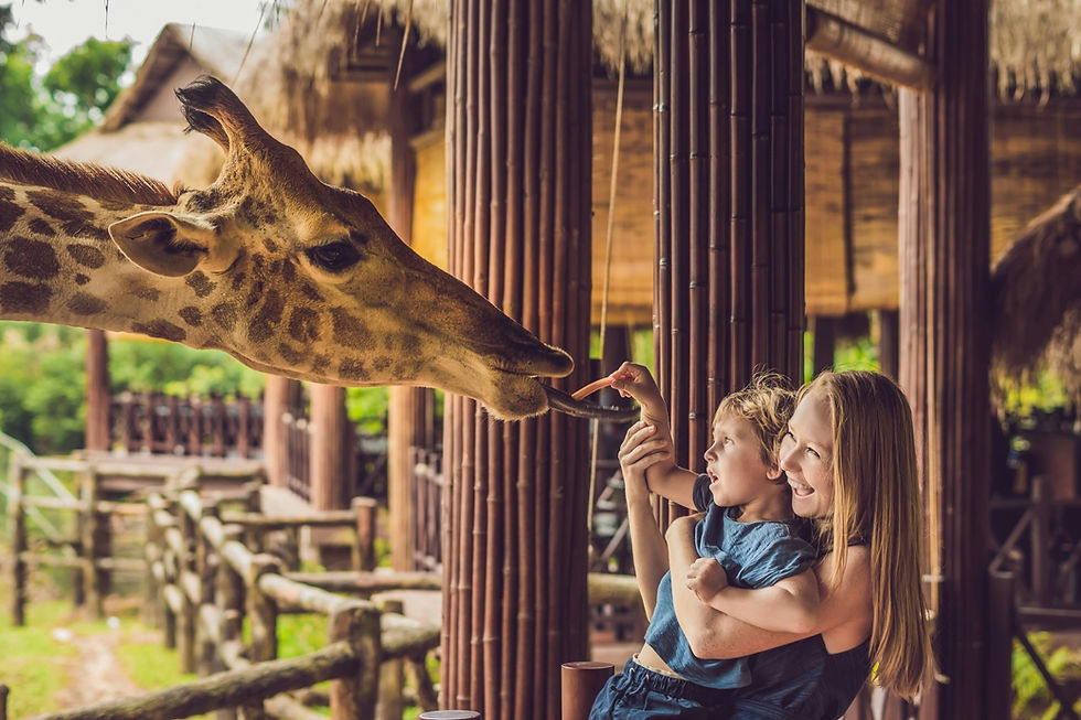 Woman holding a child, both smiling, as they feed a giraffe a carrot. Wooden beams and a lush green background create a warm, joyful scene.