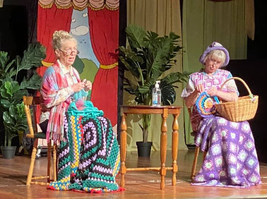 Sorell on Stage Variety show 2020