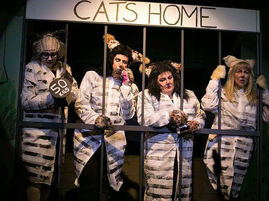 Furball of Death show 2017