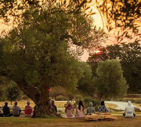 Screenshot 2025-04-15 at 13.48.59.png