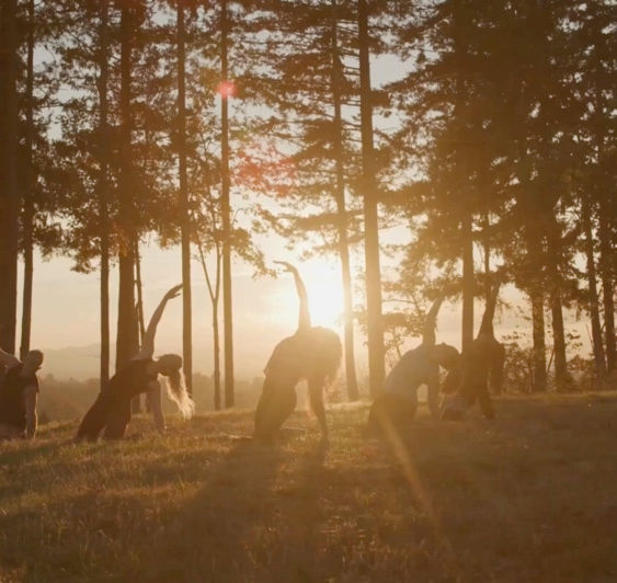 🌳 OUTDOOR YOGA TO LIVE MUSIC + CACAO CEREMONY & SOUND BATH 🧘🏻♀️