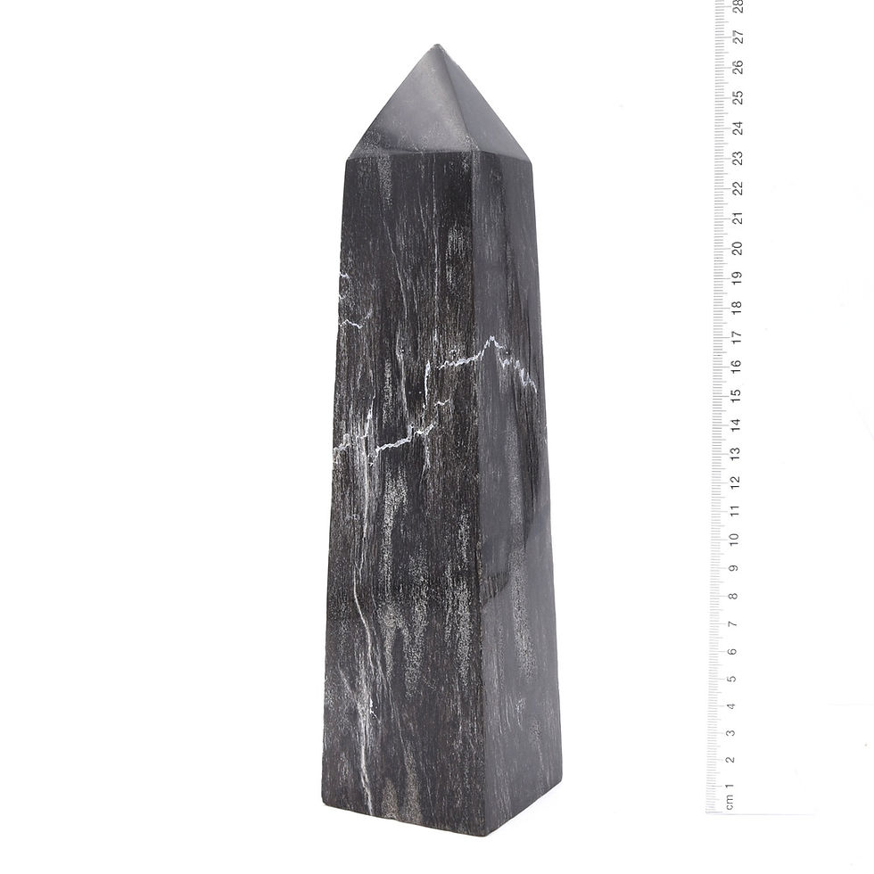 Thumbnail: Fossilised Wood Generator Point