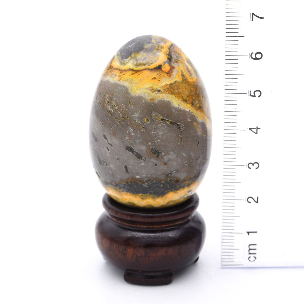 Thumbnail: Bumblebee Jasper Egg