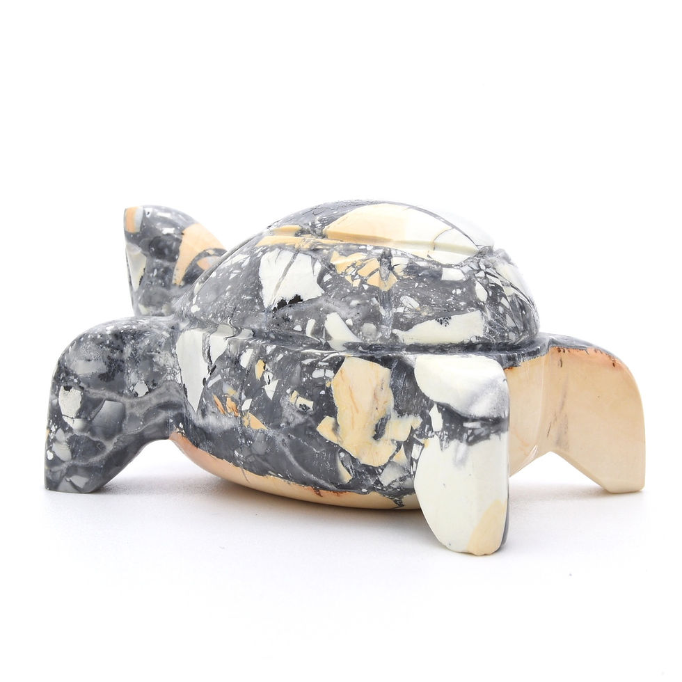 Thumbnail: Maligano Jasper Turtle