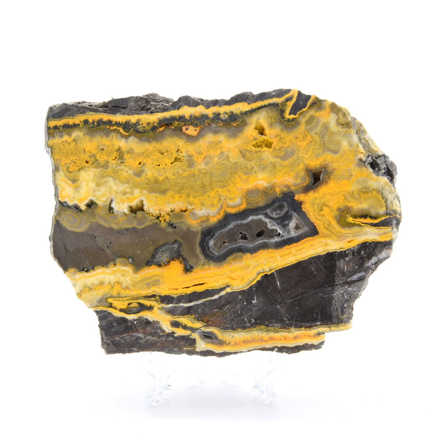Bumblebee Jasper Slab