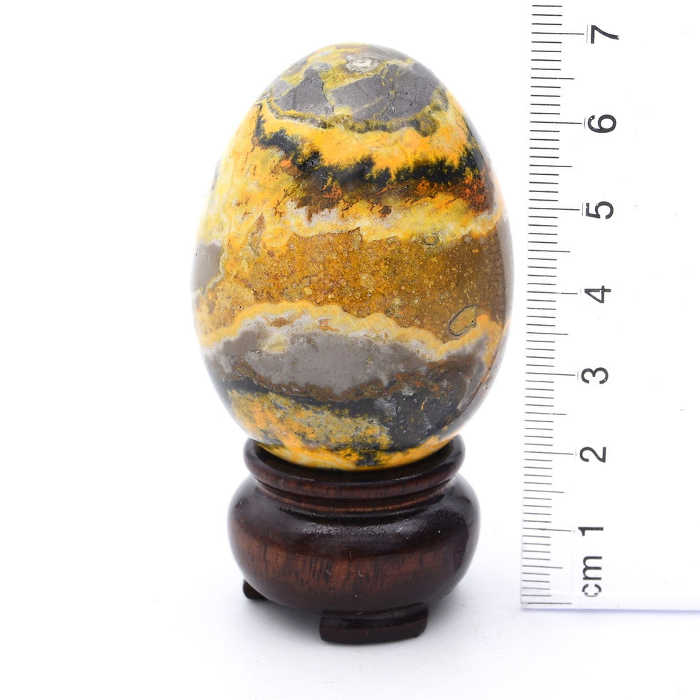 Thumbnail: Bumblebee Jasper Egg