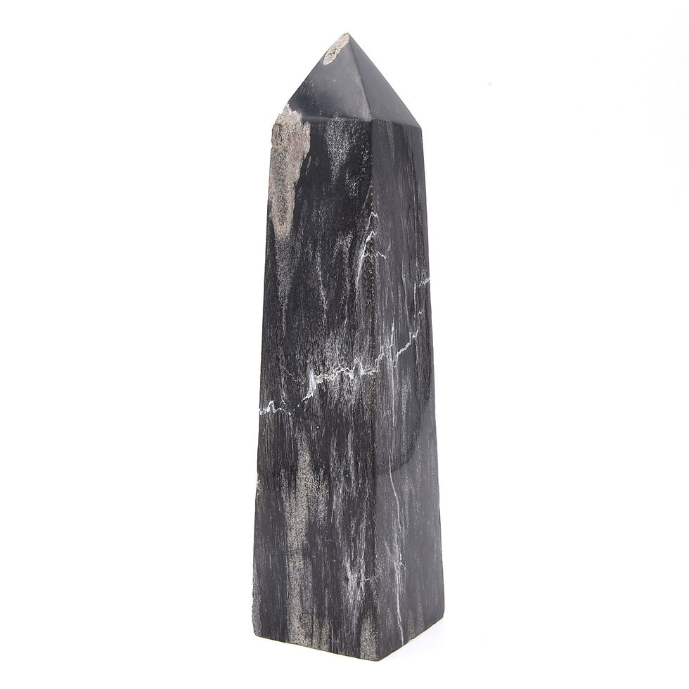 Thumbnail: Fossilised Wood Generator Point