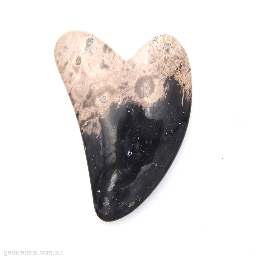 Thumbnail: Fossilised Palm Root - Gua Sha Stone