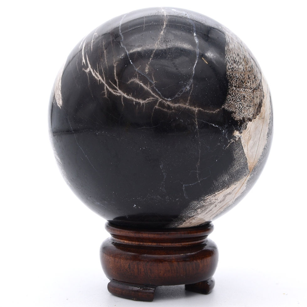Thumbnail: Fossilised Wood Sphere