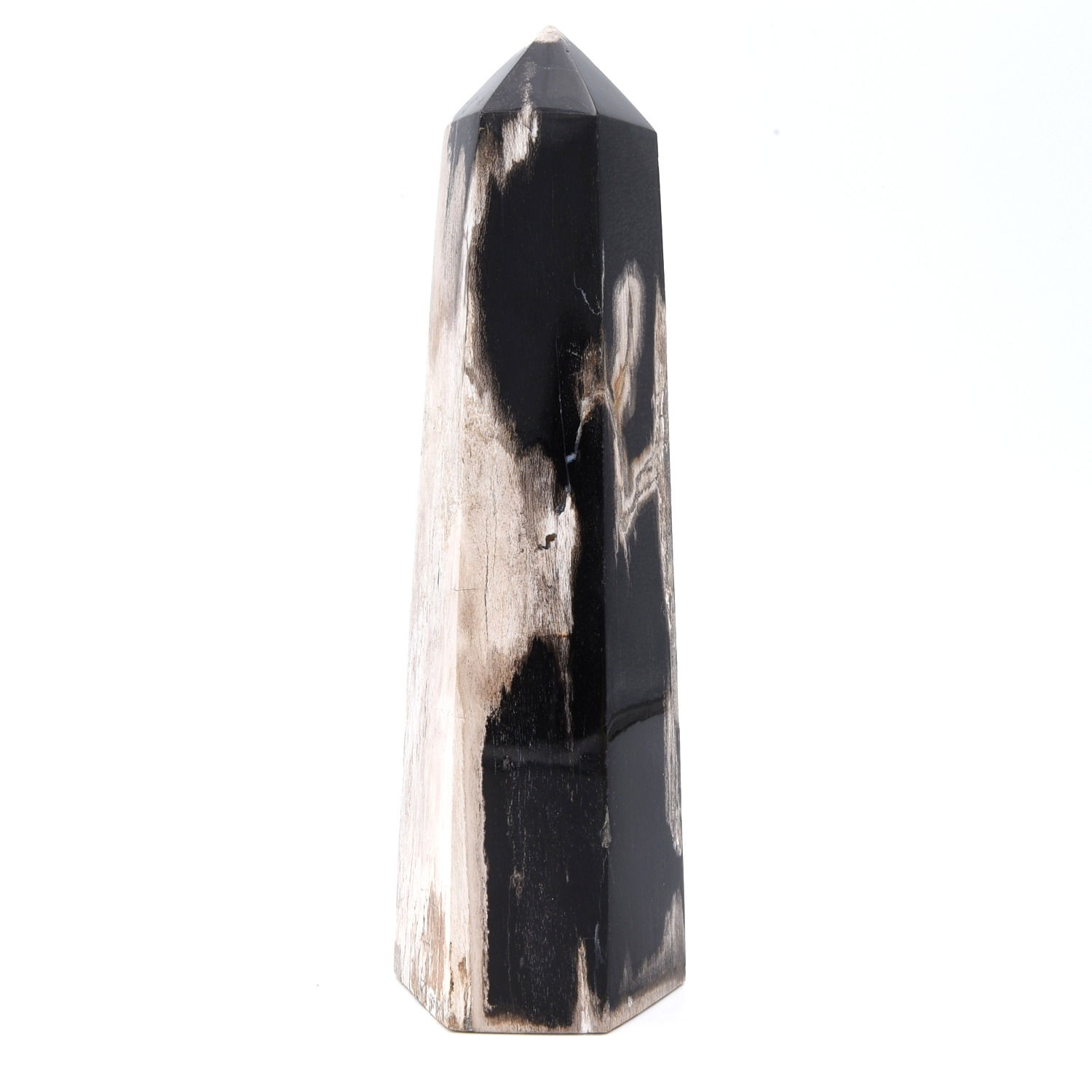 Fossilised Wood Generator Point
