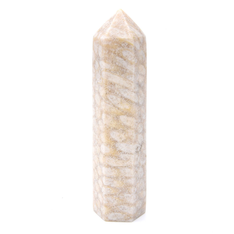 Thumbnail: Fossilised Coral Generator Point