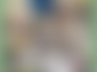 Jubilarni 30. broj In medias res-a