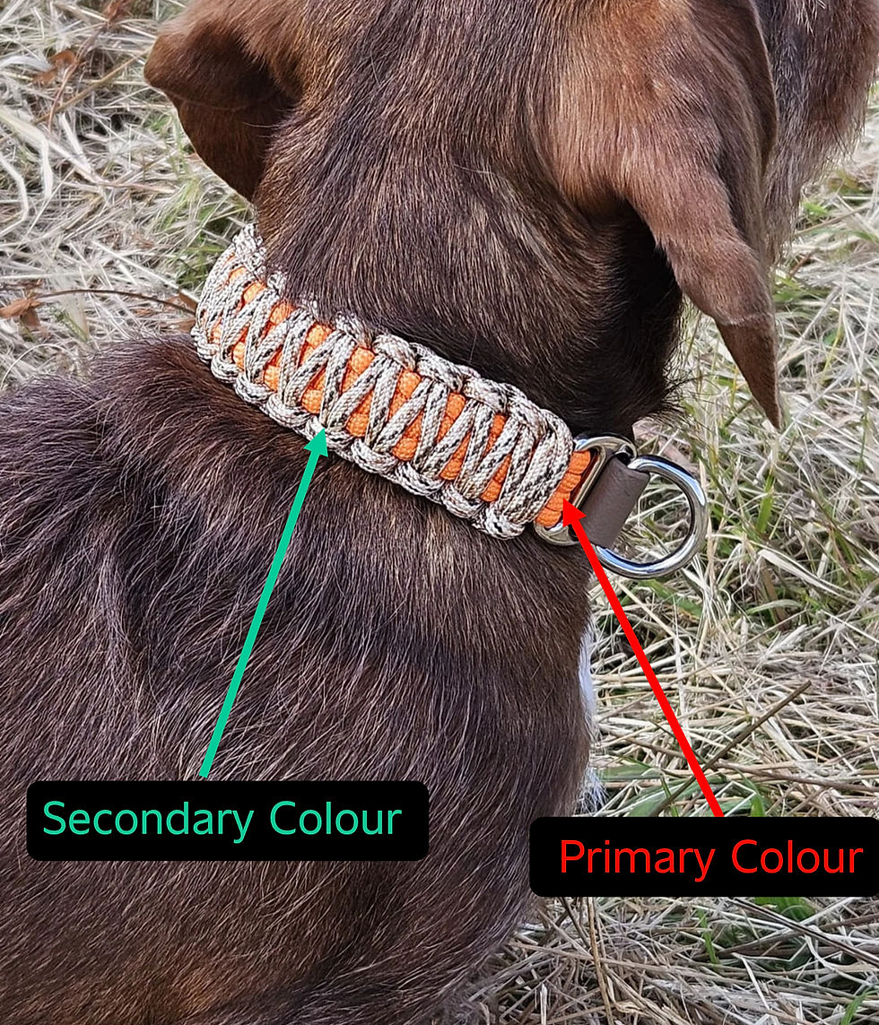 Thumbnail: dog collar 