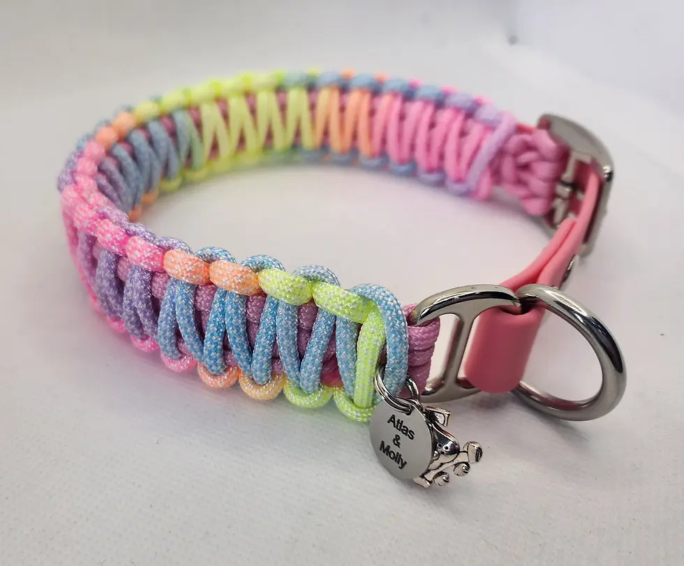 rainbow collar