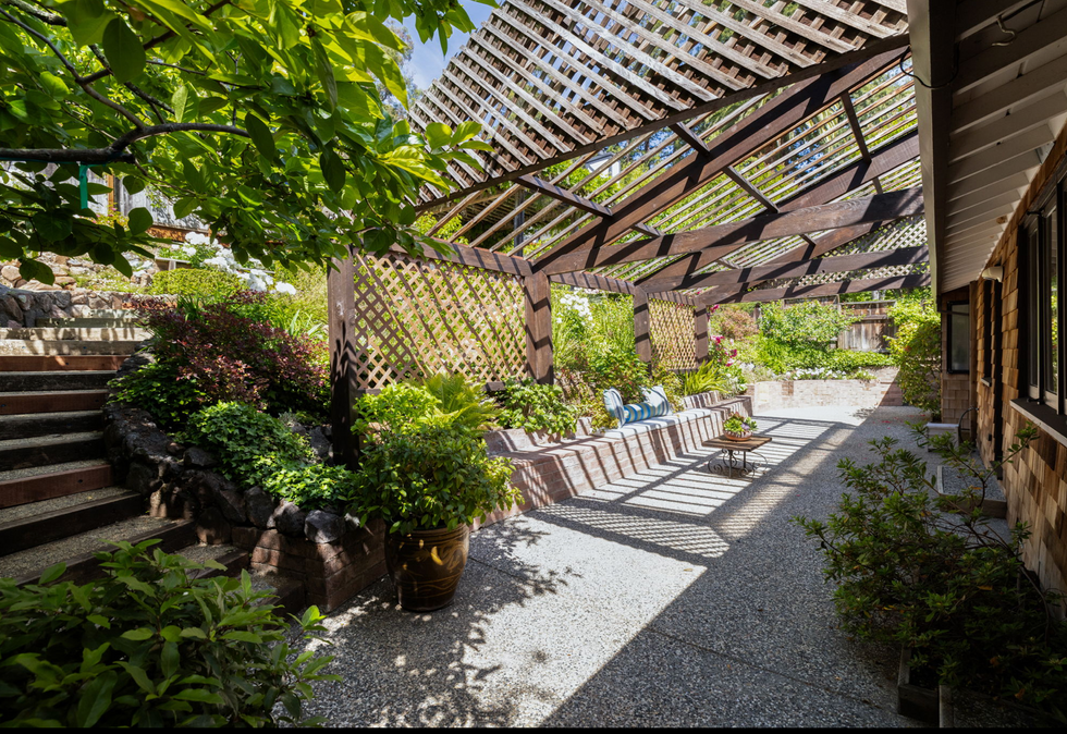 Backyard walkway with Persimmon tree
