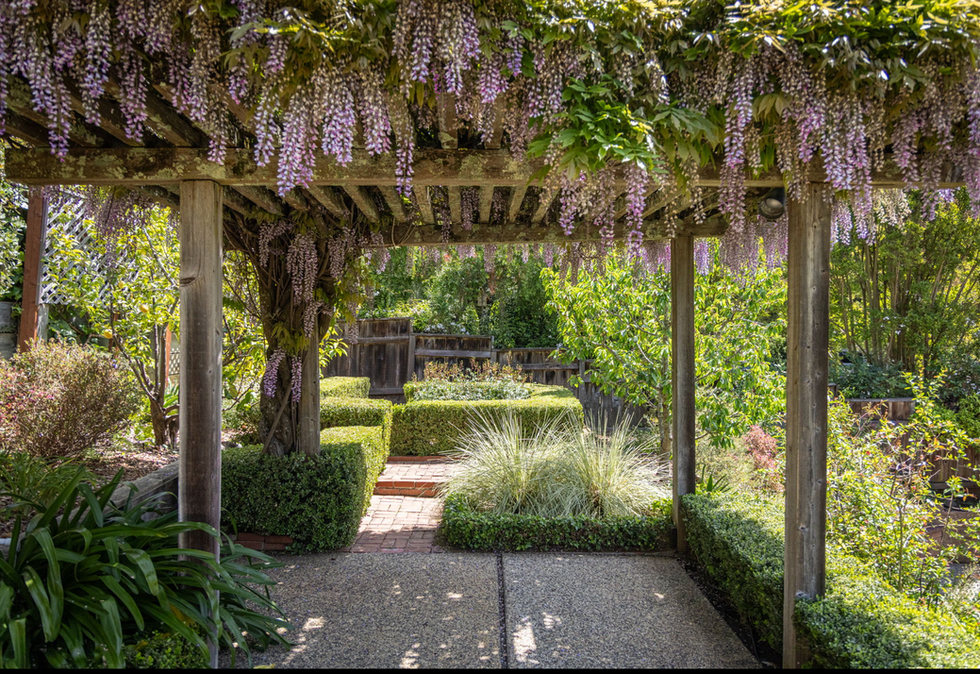 Arbor with wisteria