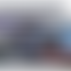 Family Action Network Movement (FANM) Opposes the United States Repatriation of 103 Haitian Refugees