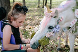 IMG_8391.jpg