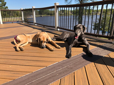 Sunbathers
