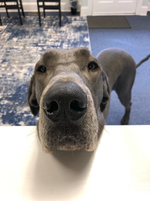 Artemis at the office